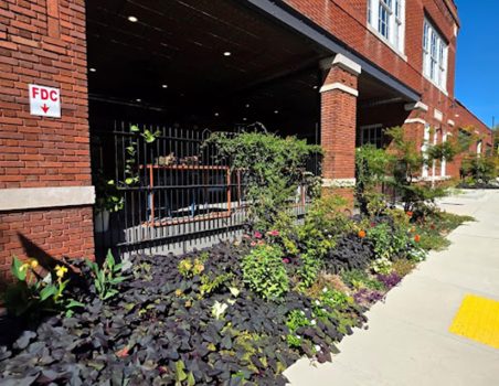 View of garden beds along the patio