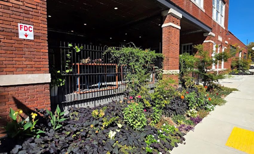 View of garden beds along the patio