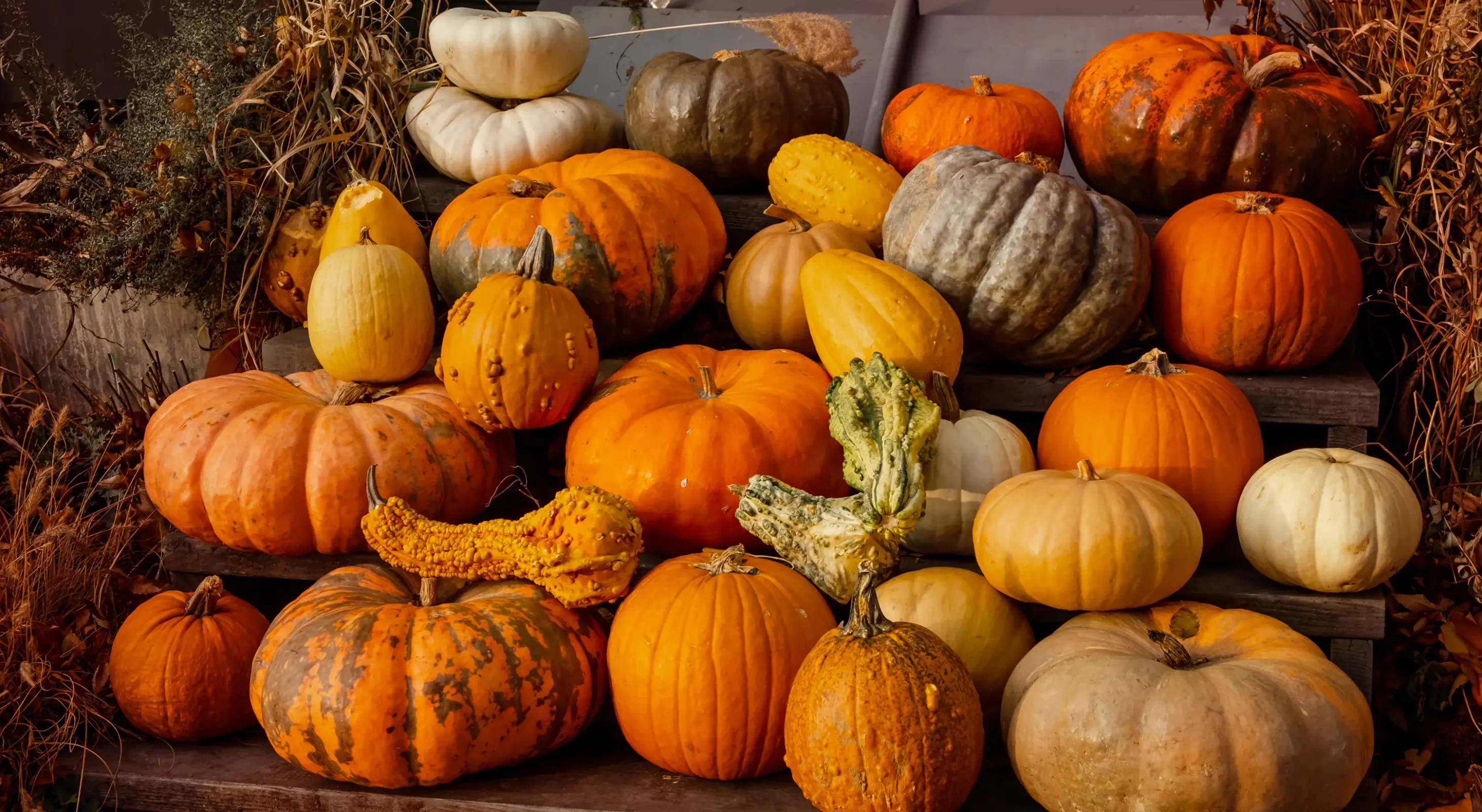 Variety of pumpkins for fall pumpkin tower on the patio at Lofts at Creek Street