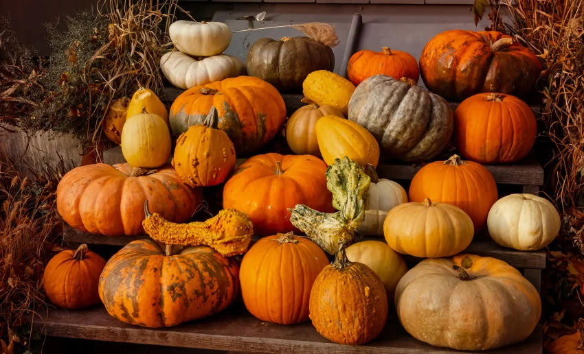 Variety of pumpkins for fall pumpkin tower on the patio at Lofts at Creek Street