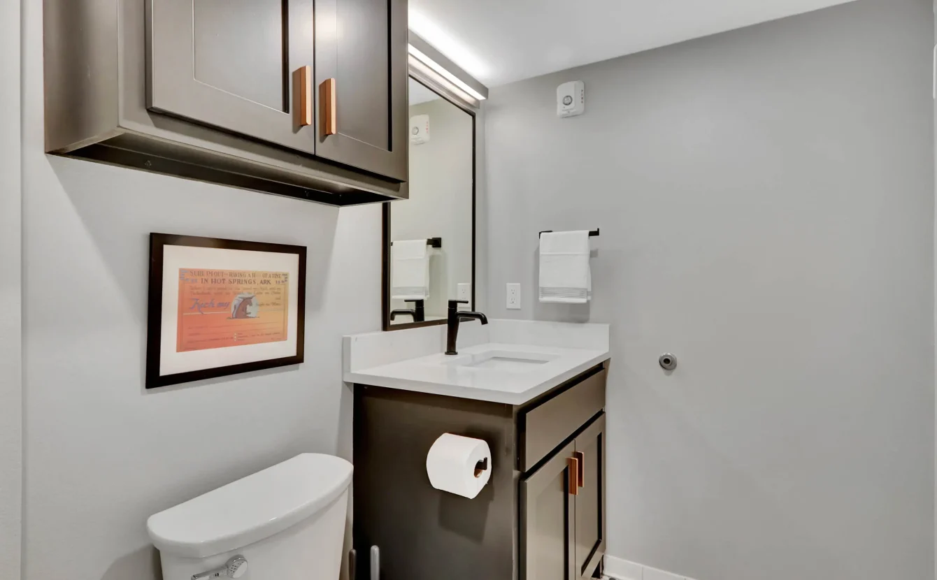 Modern bathroom vanity with walk-in shower in downtown Hot Springs loft