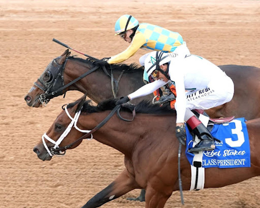 Thoroughbred horse racing at Oaklawn Racing Casino Resort in Hot Springs, AR